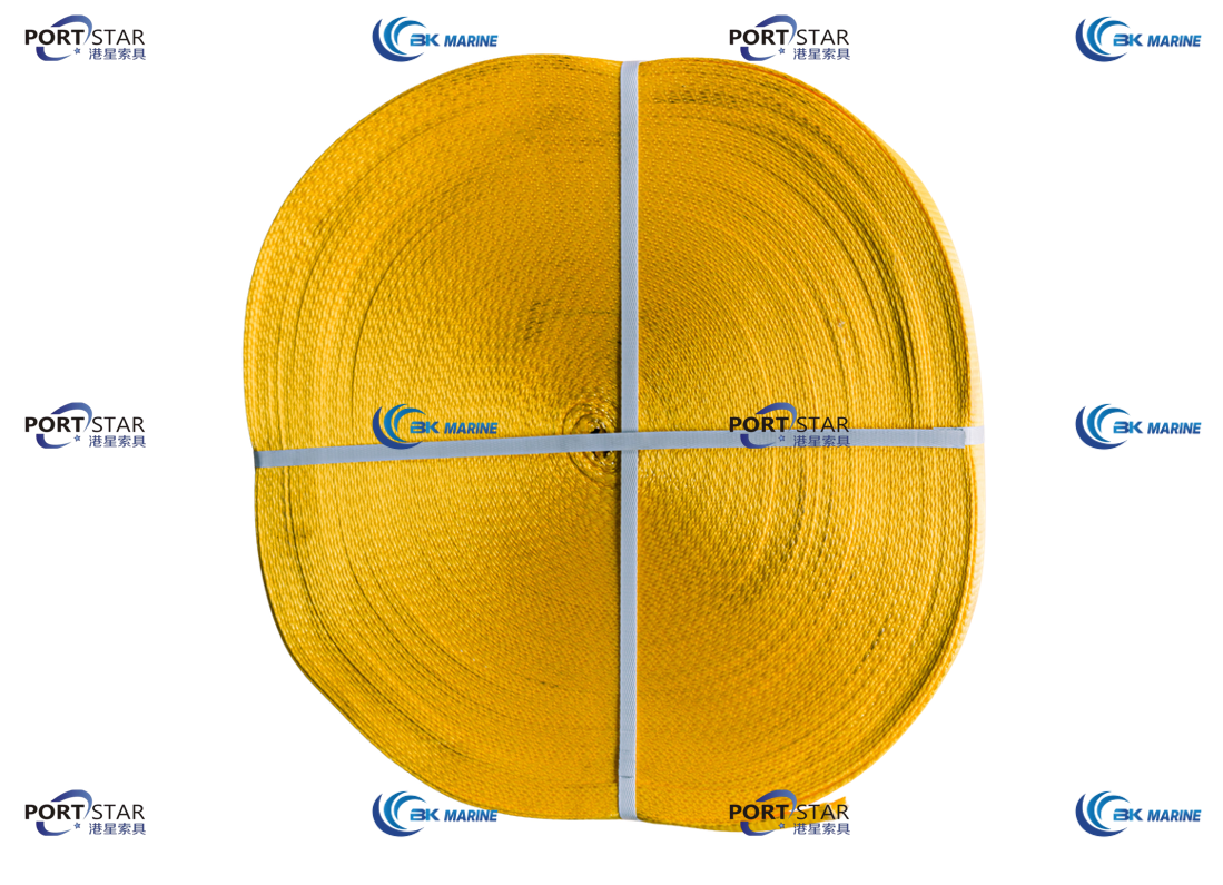 10TS Lashing Belt